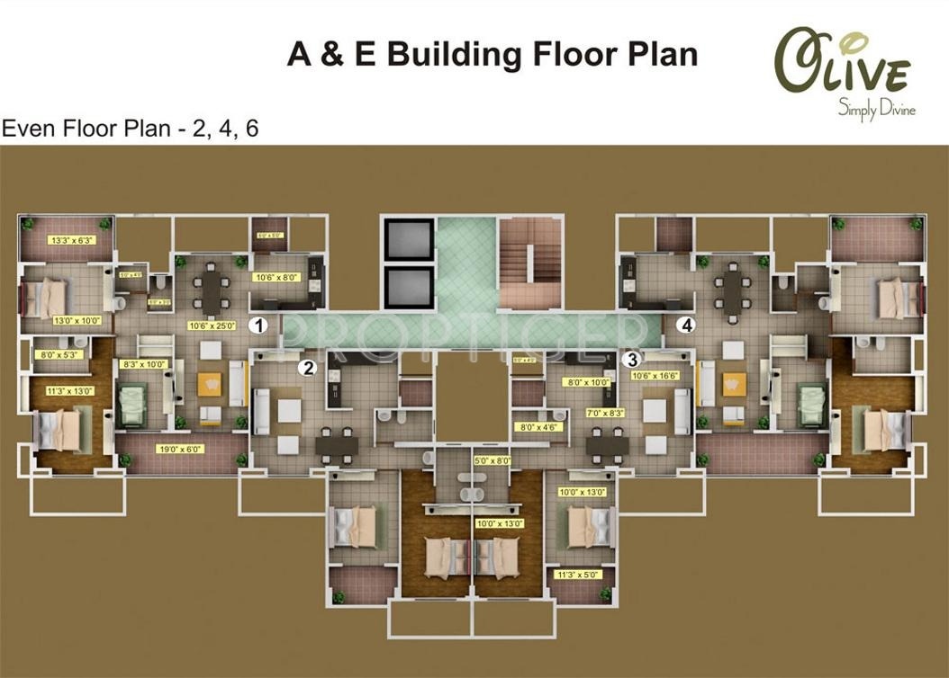 Images for Cluster Plan of Mind Olive