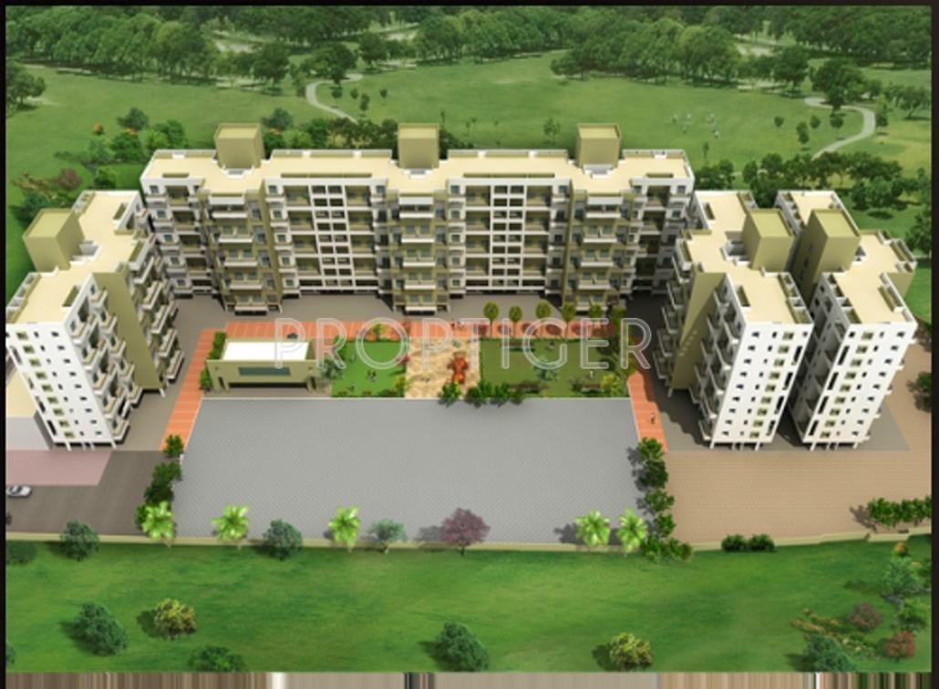 Images for Elevation of Mind Olive