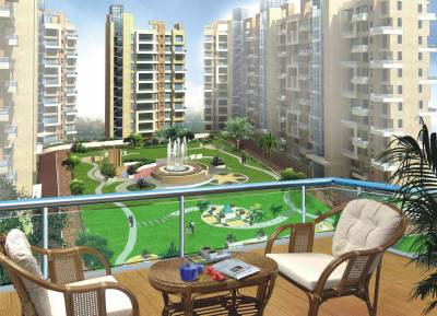 Images for Main Other of Anmol White Oak