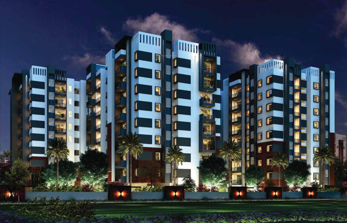  fiesta Images for Elevation of Alpine Fiesta