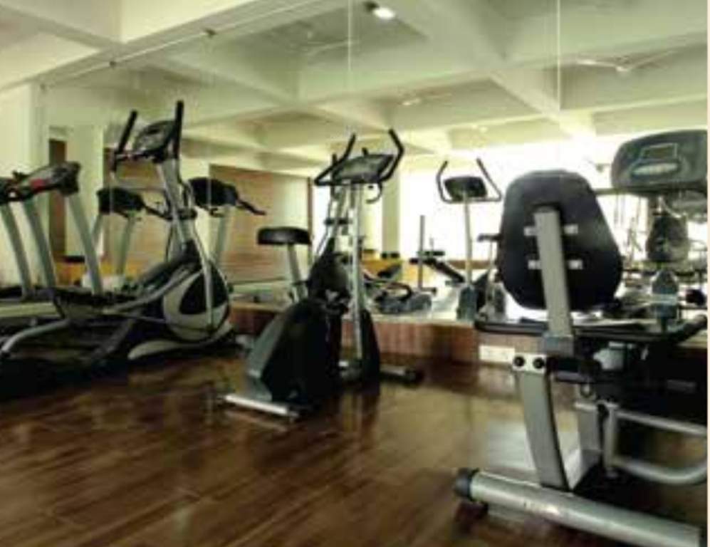  fiesta Images for Amenities of Alpine Fiesta