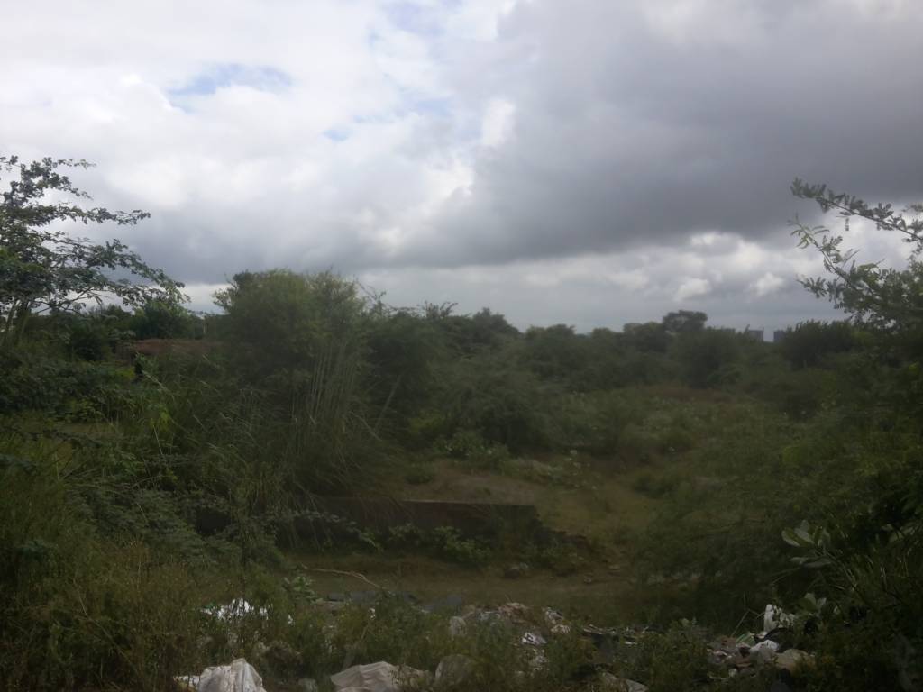 Images for Project Images for Project