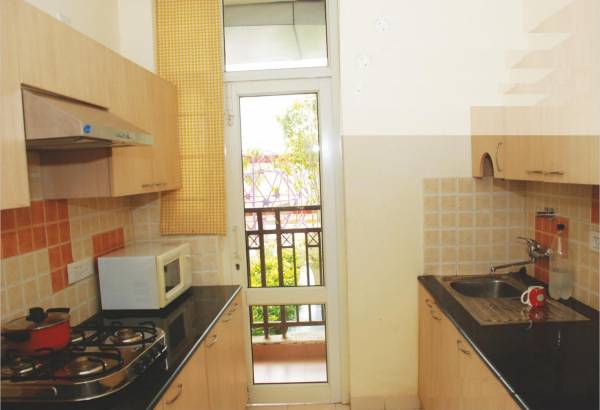 Images for Main Other of Ansal Tulip And Carnation Images for Main Other of Ansal Tulip And Carnation