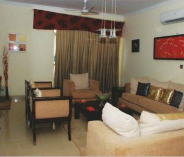 Images for Main Other of Ansal Tulip And Carnation Images for Main Other of Ansal Tulip And Carnation