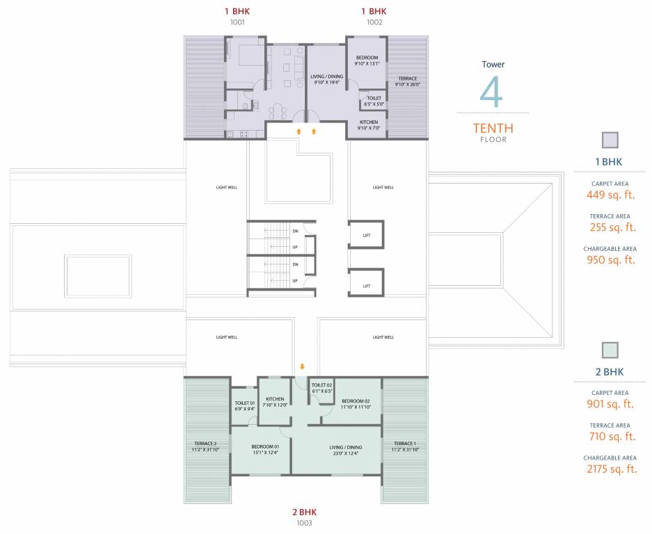  skyi songbirds 1 Cluster Plan