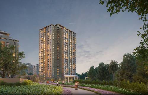  skyi-songbirds Elevation