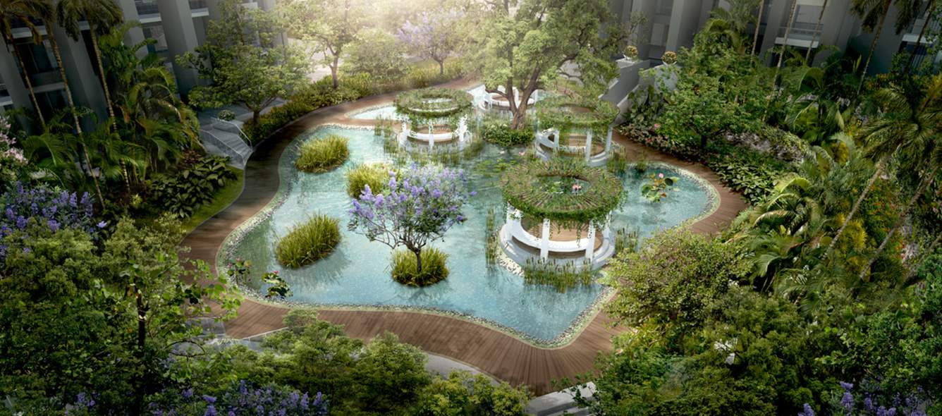  skyi songbirds Images for Amenities of Skyi Songbirds Iris