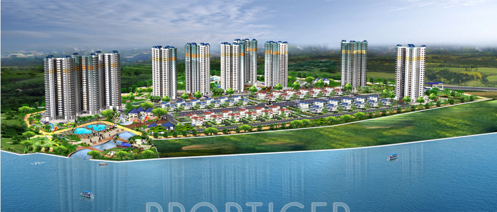 magic lilly Master Plan