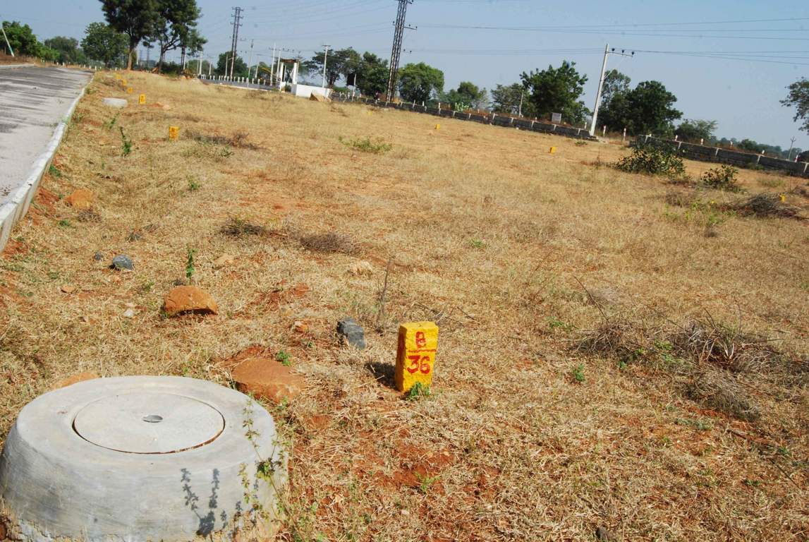 Images for Main Other of Charan Alton Meadows