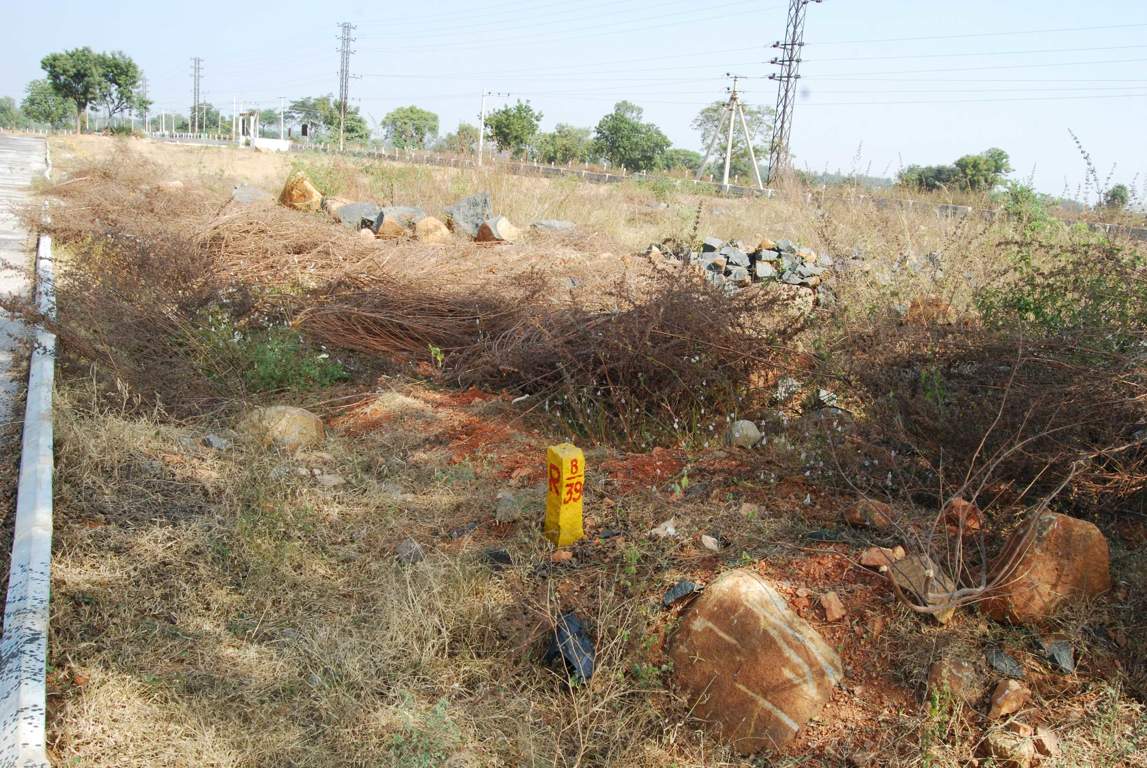 Images for Main Other of Charan Alton Meadows