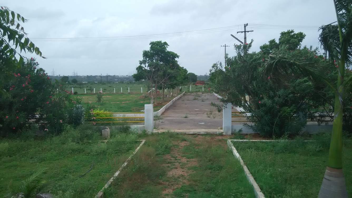 Images for Main Other of Charan Alton Meadows