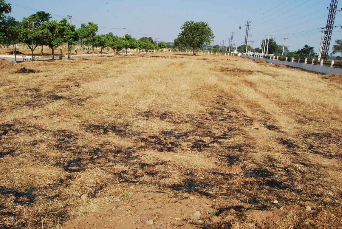 Images for Main Other of Charan Alton Meadows