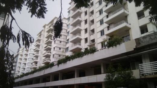 tree-walk Elevation Elevation