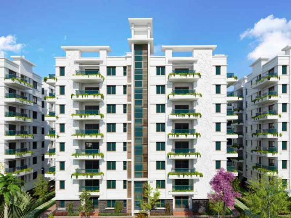  tree-walk Images for Elevation of SVC Tree Walk