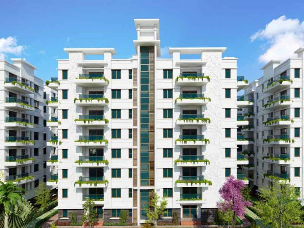  tree walk Images for Elevation of SVC Tree Walk