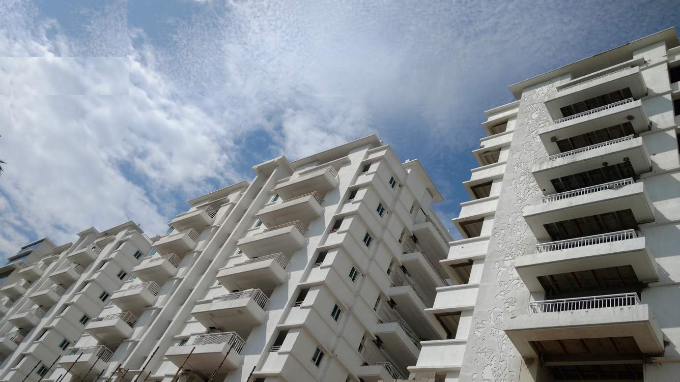  tree walk Images for Elevation of SVC Tree Walk