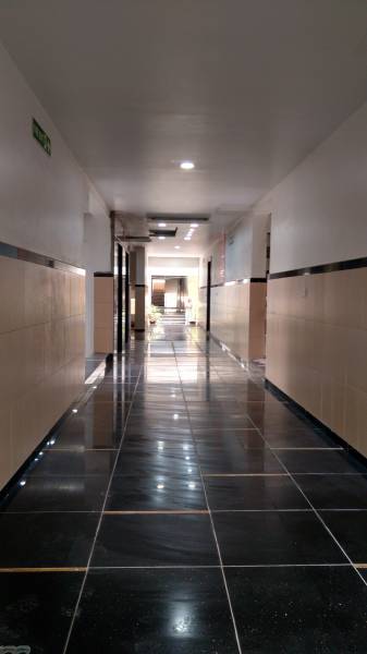 Images for Main Other of SVC Tree Walk