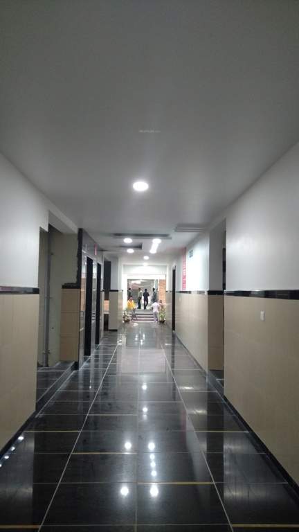 Images for Main Other of SVC Tree Walk