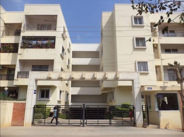  banyan-tree Elevation