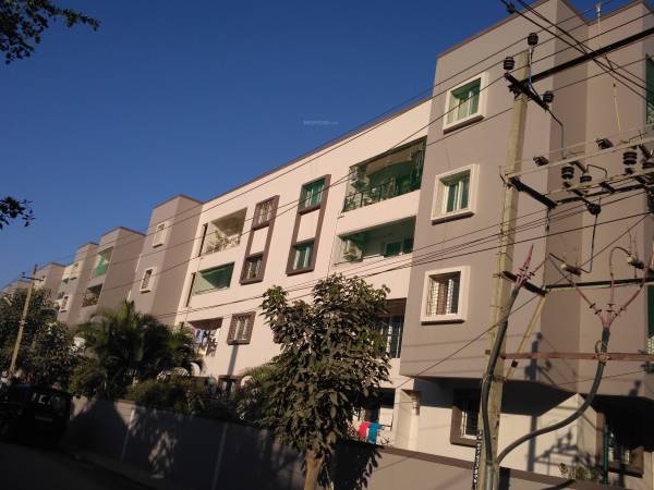  banyan-tree Elevation