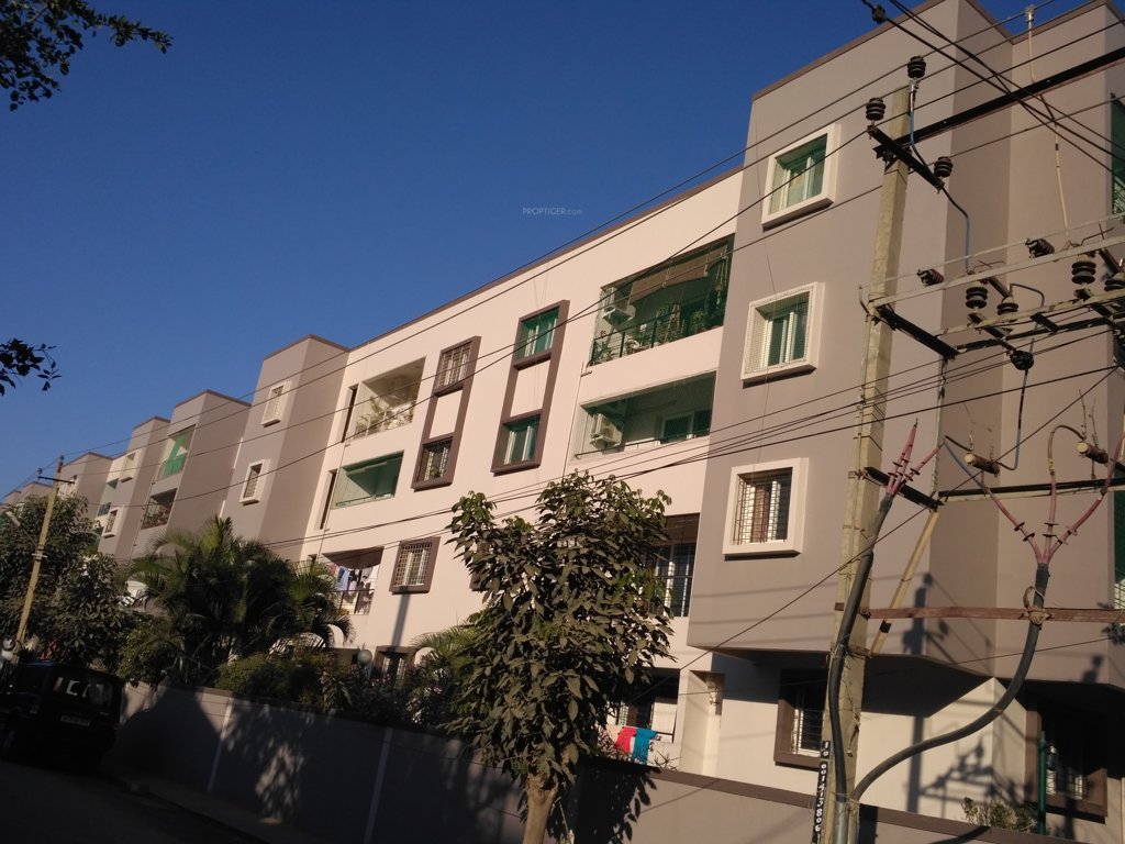  banyan tree Elevation