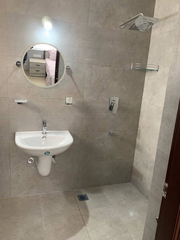  terra alegria Others