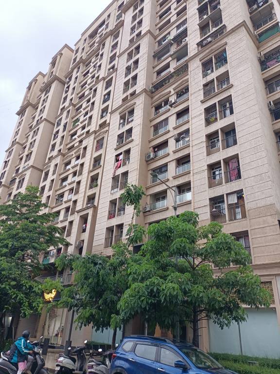 ace square Elevation