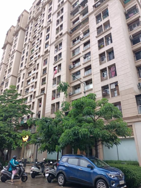 ace square Elevation