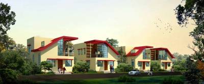 Images for Elevation of Karnik Exotica Images for Elevation of Karnik Exotica