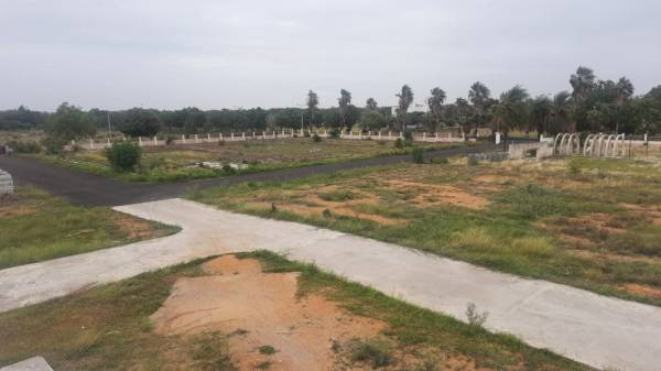 Elevation health-village Elevation