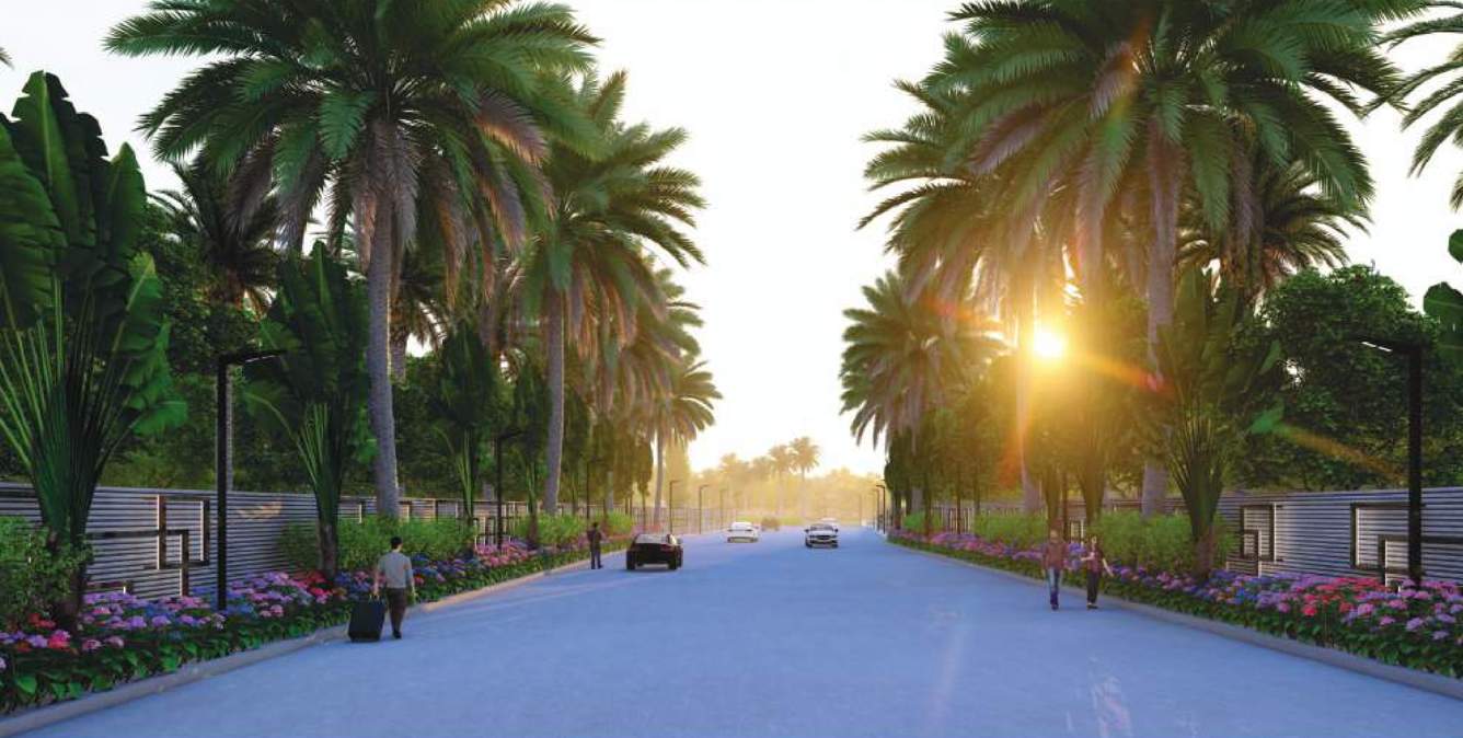  health village Others