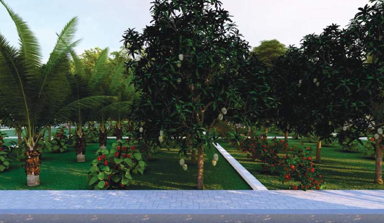  health village Others