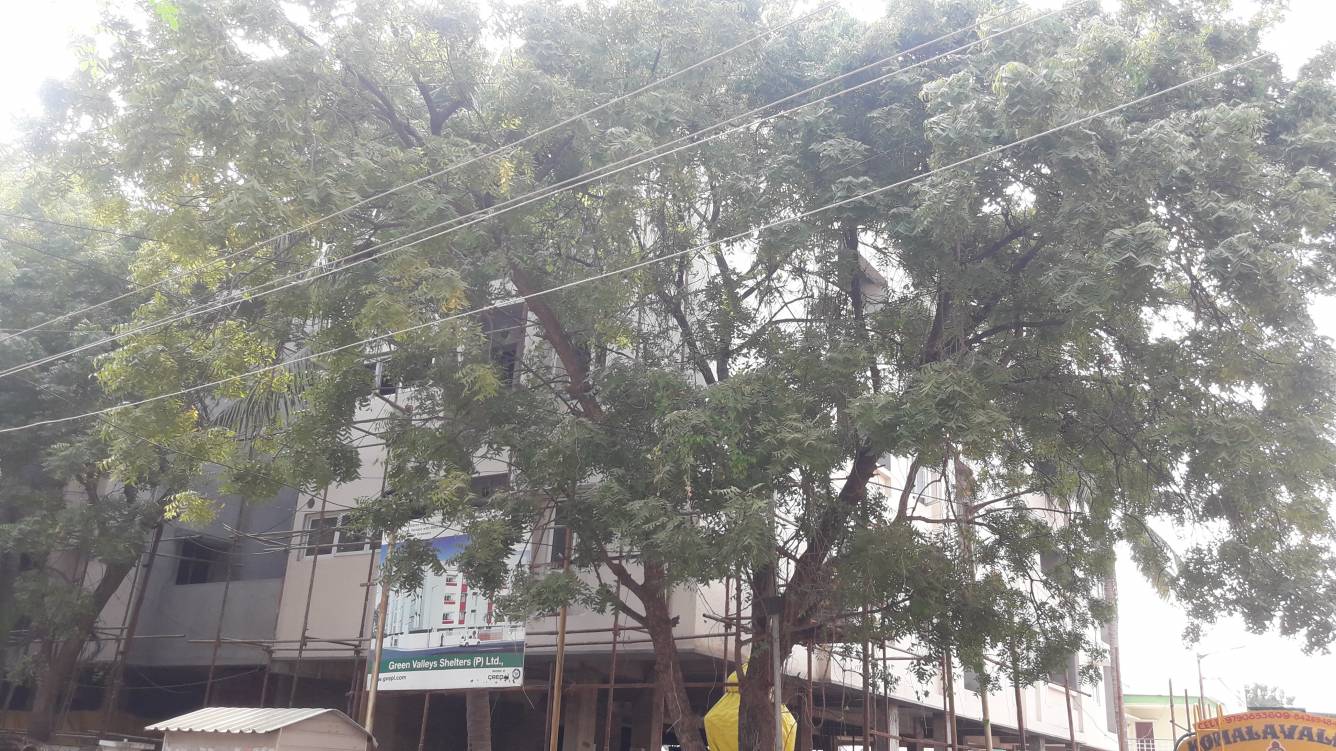 Images for constructionStatus