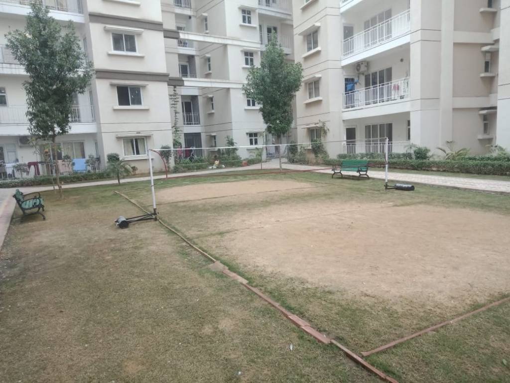 sapphire Badminton Court