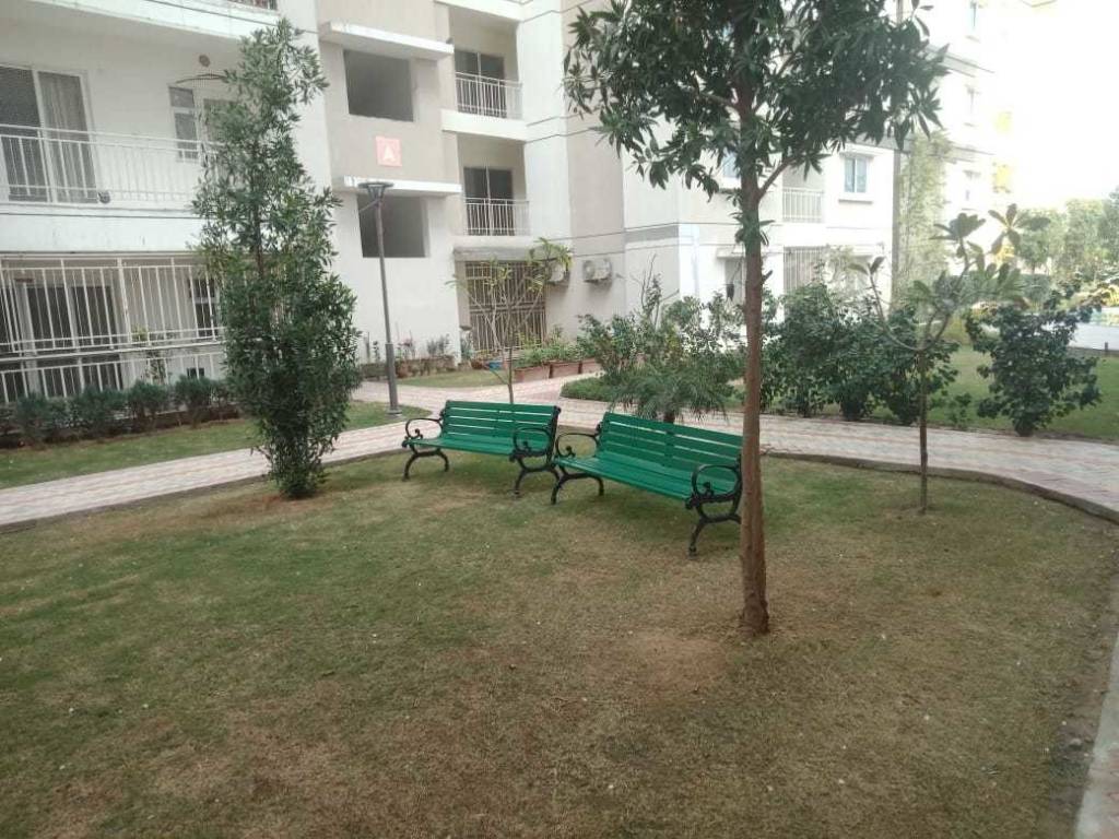 sapphire Landscape Garden and Tree Planting