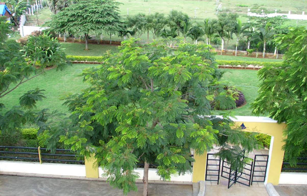  greenville Images for Amenities of Chettinadd Housing Greenville