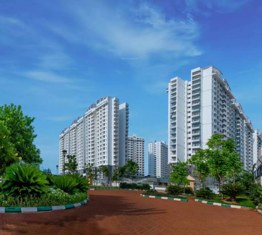  palm beach Images for Project