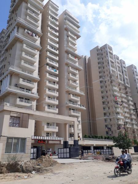  royal-nest Images for Project