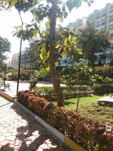 Landscape Garden and Tree Planting city Landscape Garden and Tree Planting