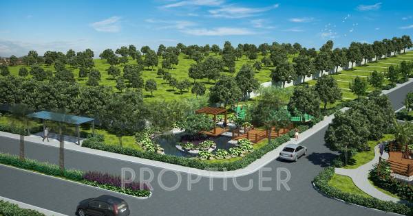 Images for Main Other of Pionier Lake Dew