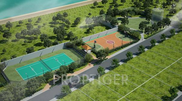 Images for Main Other of Pionier Lake Dew