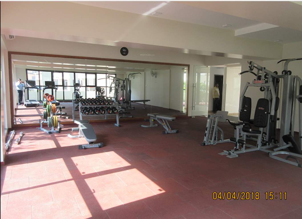  park ivory Gymnasium