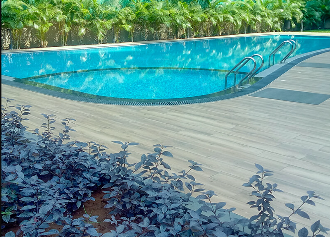  park ivory Swimming Pool