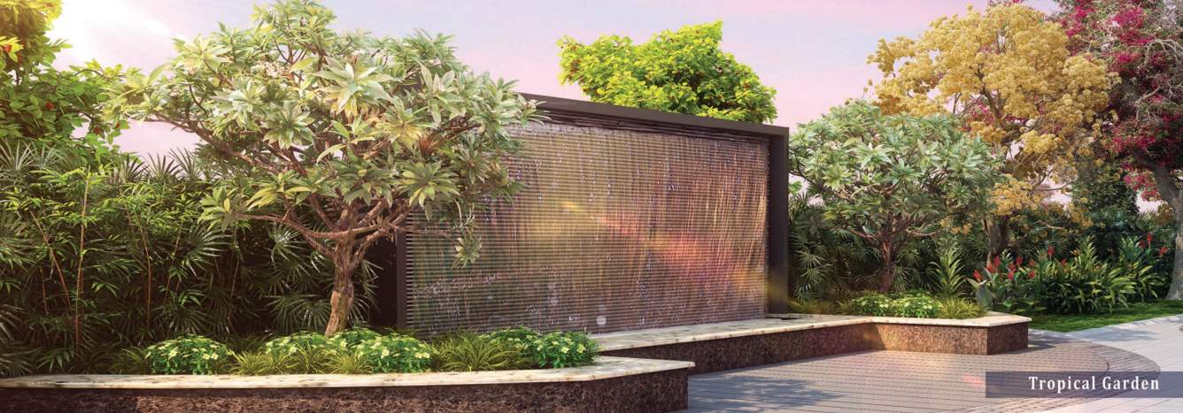  high cliff Landscape Garden and Tree Planting