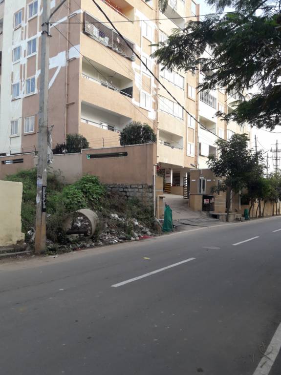  dsmax seagull Elevation