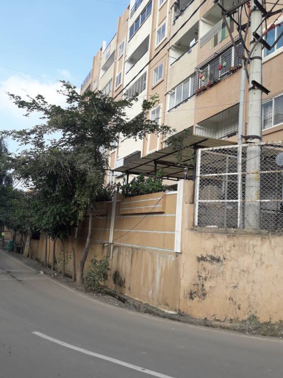  dsmax seagull Elevation