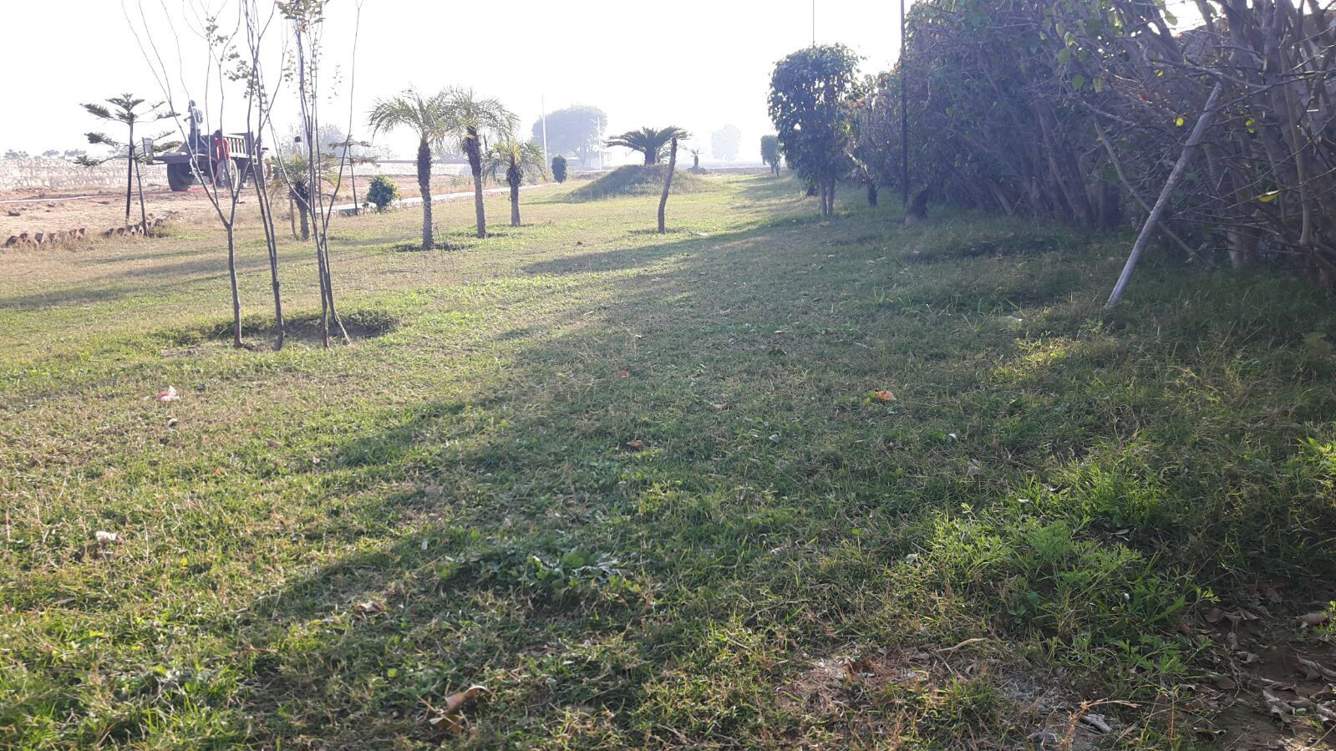  city Images for Amenities of RLF City