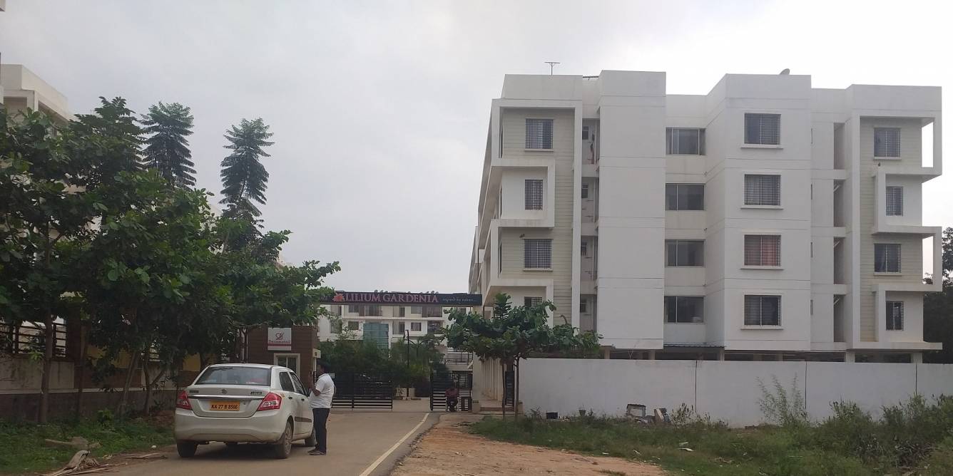  lilium gardenia Elevation