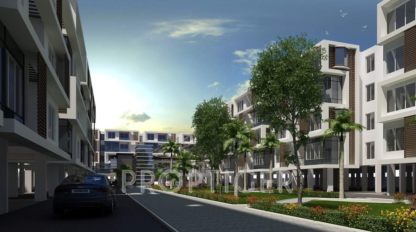  lilium gardenia Images for Elevation of Dhammanagi Lilium Gardenia