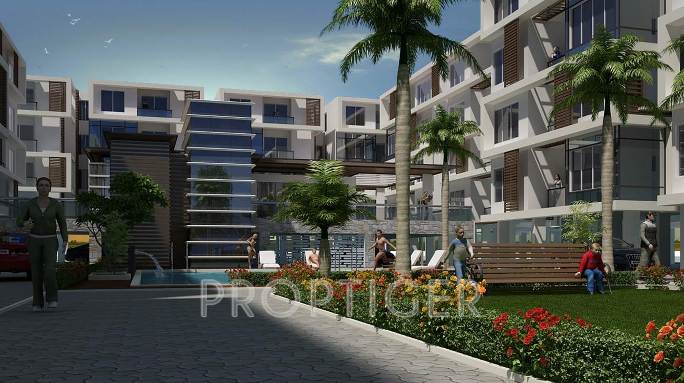  lilium gardenia Images for Elevation of Dhammanagi Lilium Gardenia